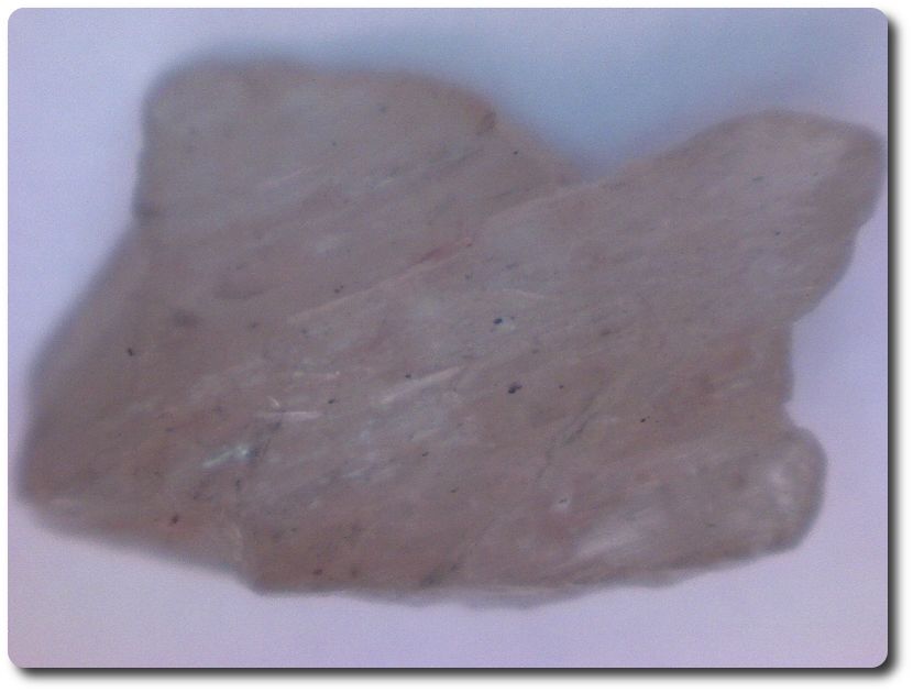 Pargasite, 5.0 carats, Birmanie