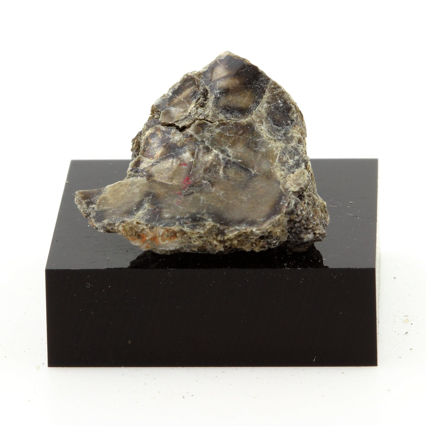 Muscovite, 22.1 carats, Notre-Dame-de-la-Salette, Québec, Canada