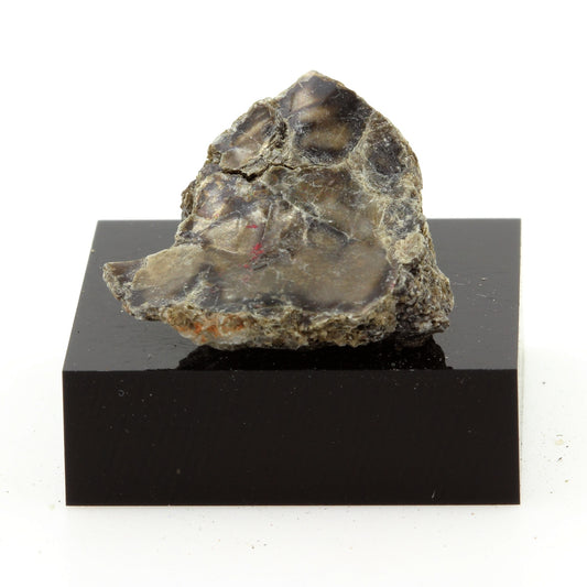 Muscovite, 22.1 carats, Notre-Dame-de-la-Salette, Québec, Canada