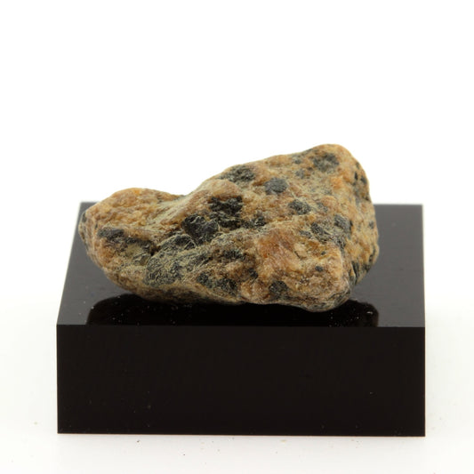 Lamprophyre. 27.9 carats. Grenville, Québec, Canada