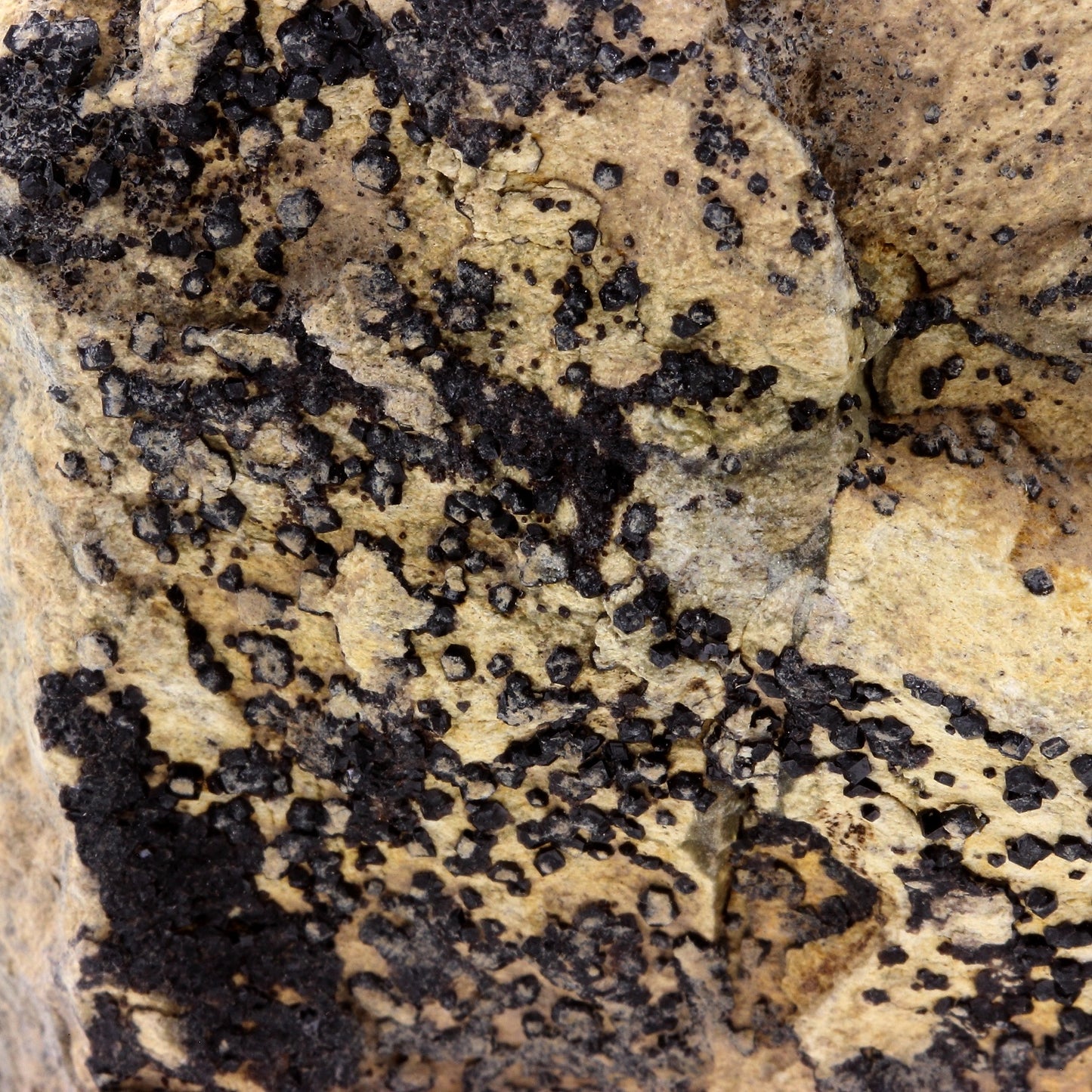 Grenat Melanite. 803.6 carats. San Benito Co., California, USA