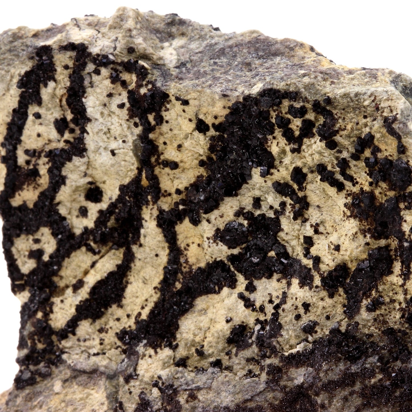 Grenat Melanite. 803.6 carats. San Benito Co., California, USA