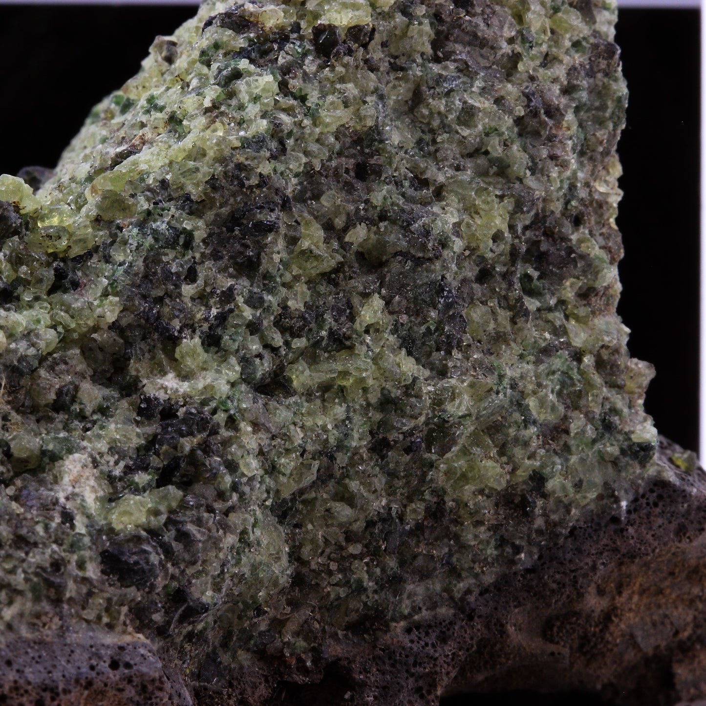 Péridotite, 430.6 carats, Mont Briançon, Haute-Loire, France