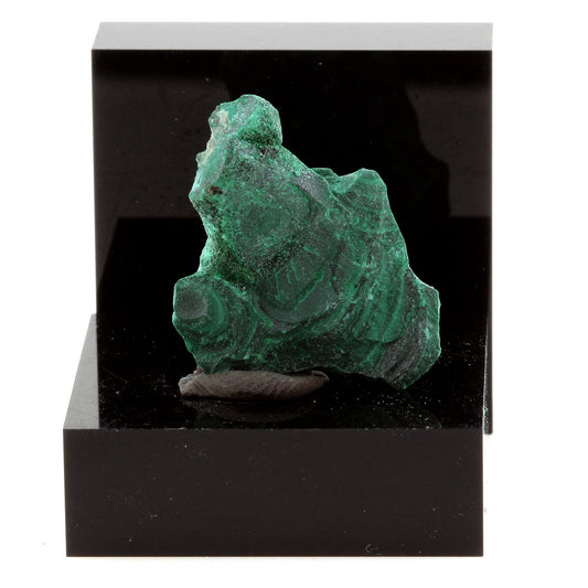 Malachite. 20.24 carats. Katanga, Congo