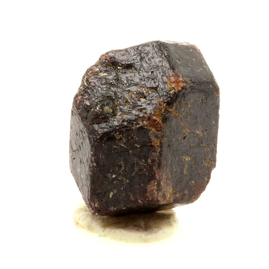 Grenat Almandin. 31.0 carats. Sahanivotry Manandona, Vakinankaratra Region, Madagascar
