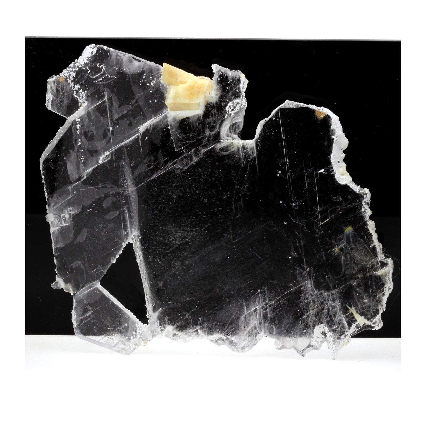 Gypse + Dolomite. 99.9 carats. Bramans, Modane, Savoie, France