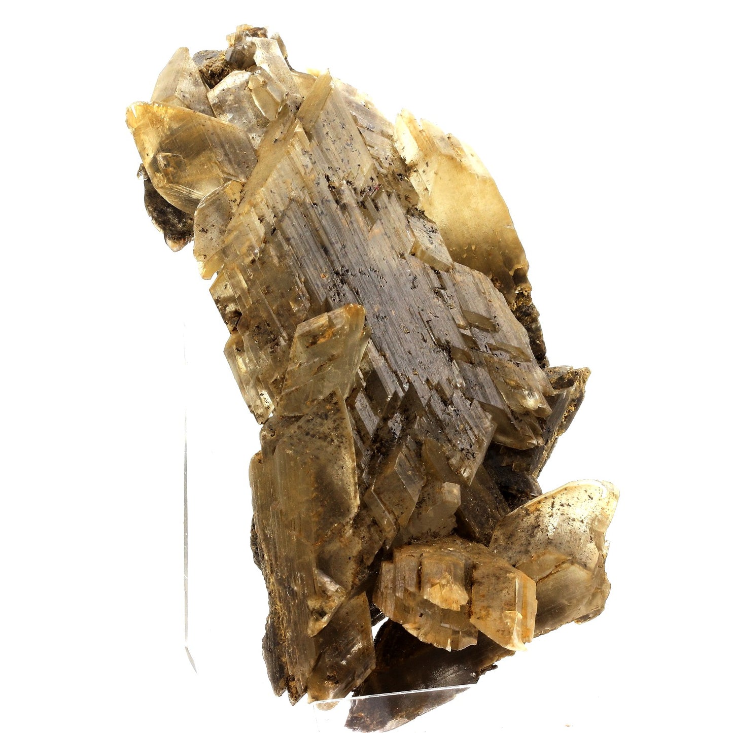Gypse. 2245.0 carats. La Unión, Sierra de Cartagena, Murcia, Espagne