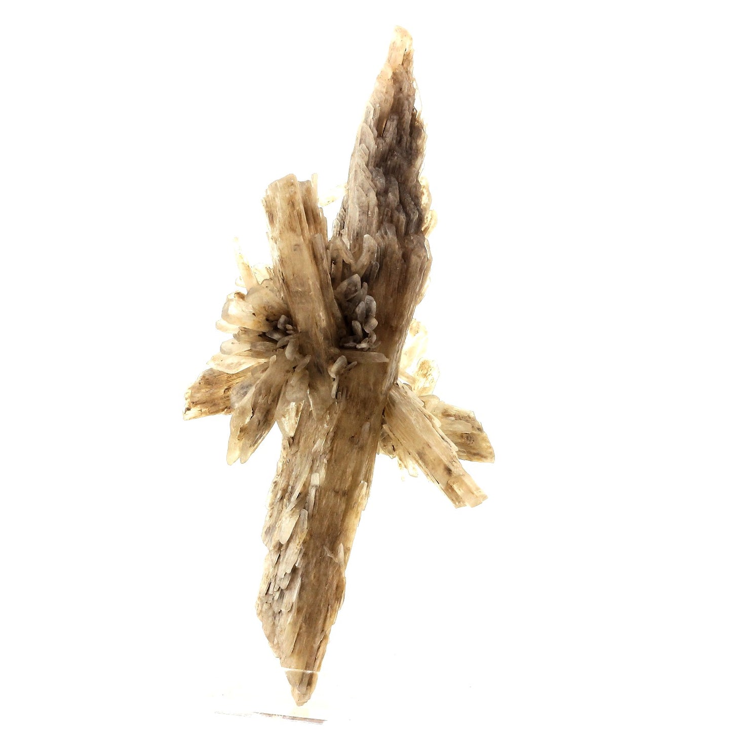 Gypse. 211.5 carats. Angervilliers, Essonne, Ile-de-France, France