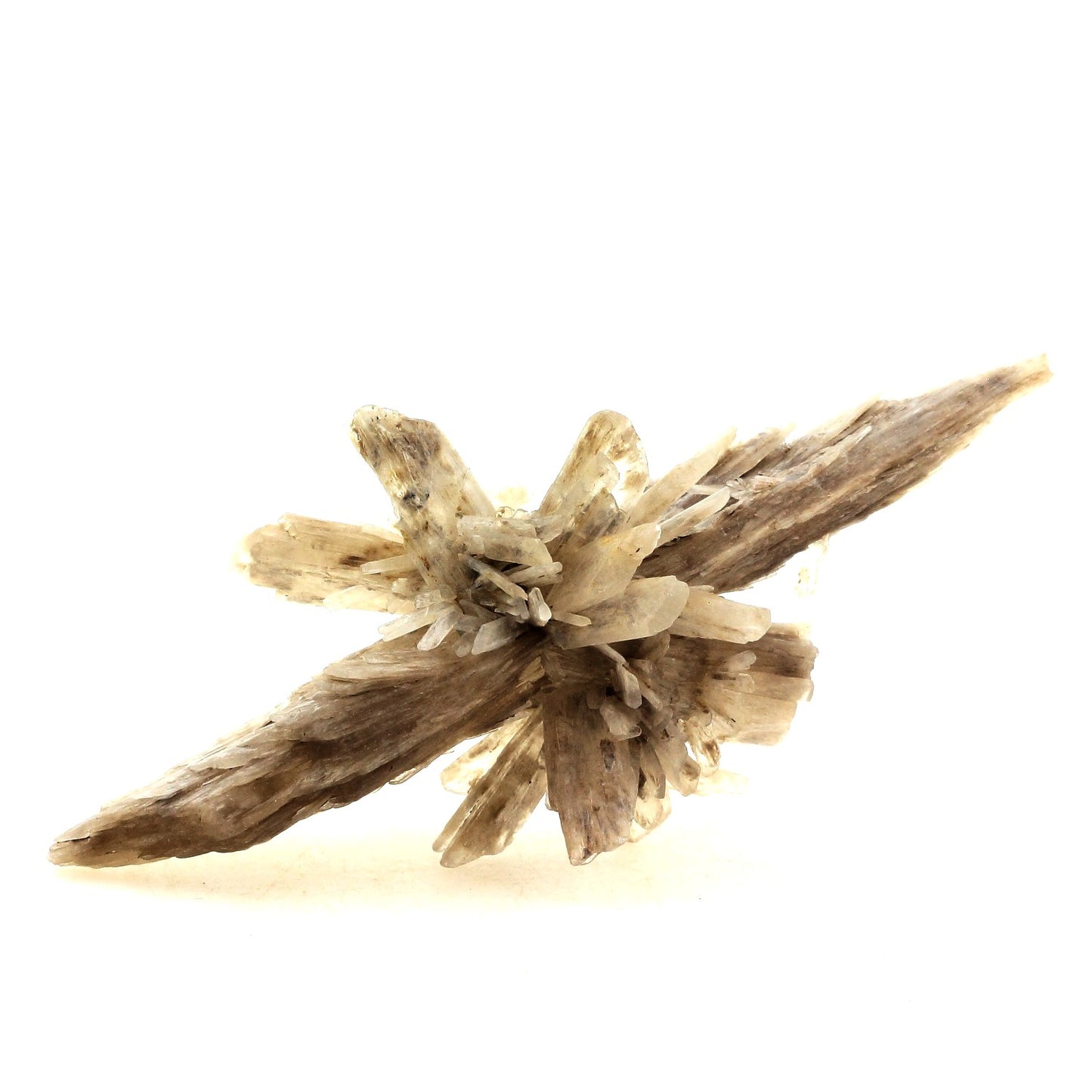 Gypse. 211.5 carats. Angervilliers, Essonne, Ile-de-France, France