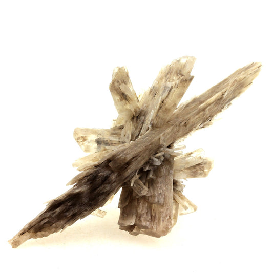 Gypse. 211.5 carats. Angervilliers, Essonne, Ile-de-France, France