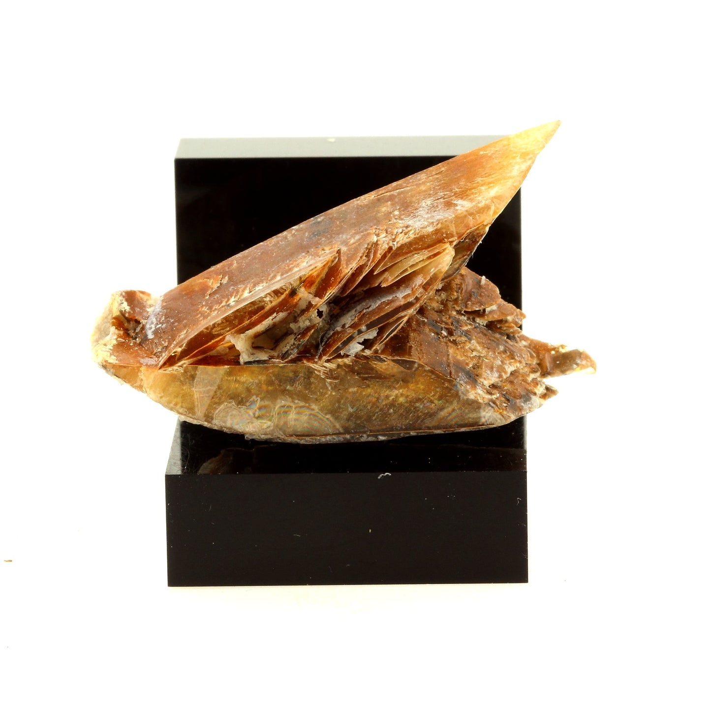 Gypse. 59.7 carats. Bassin Parisien, France