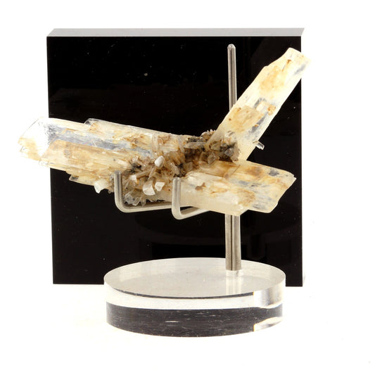 Gypse. 43.3 carats. Angervilliers, Essonne, Ile-de-France, France