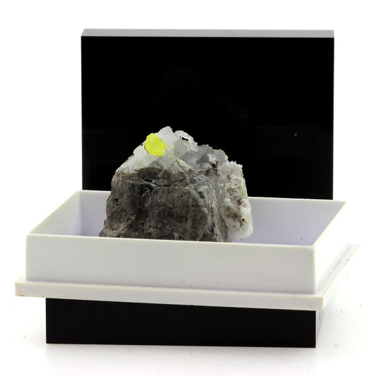 Soufre + Gypse. 89.4 carats. La Maurienne, Savoie, France