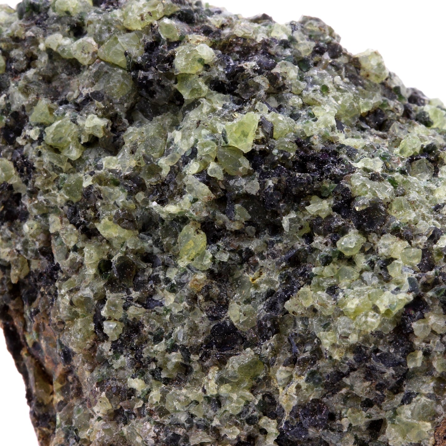 Péridotite, 712.5 carats, Mont Briançon, Haute-Loire, France