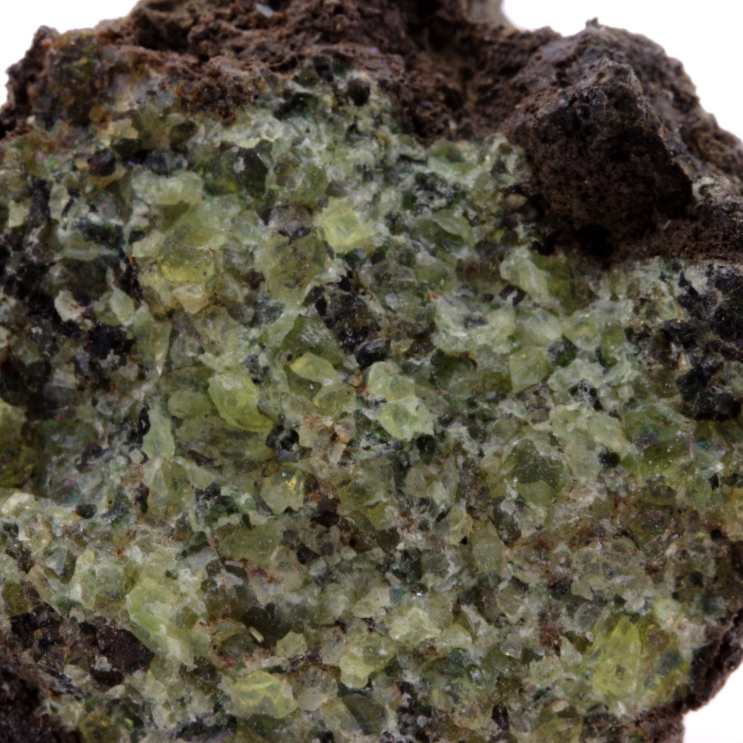 Péridotite, 454.6 carats, Mont Briançon, Haute-Loire, France