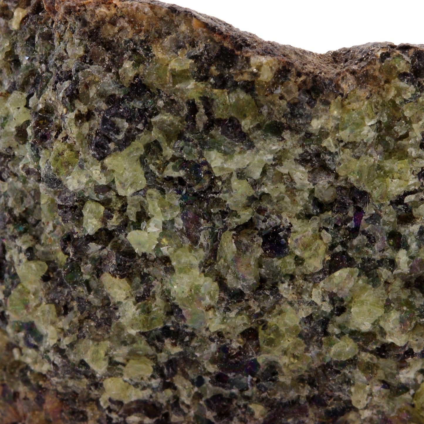 Péridotite, 363.3 carats, Mont Briançon, Haute-Loire, France