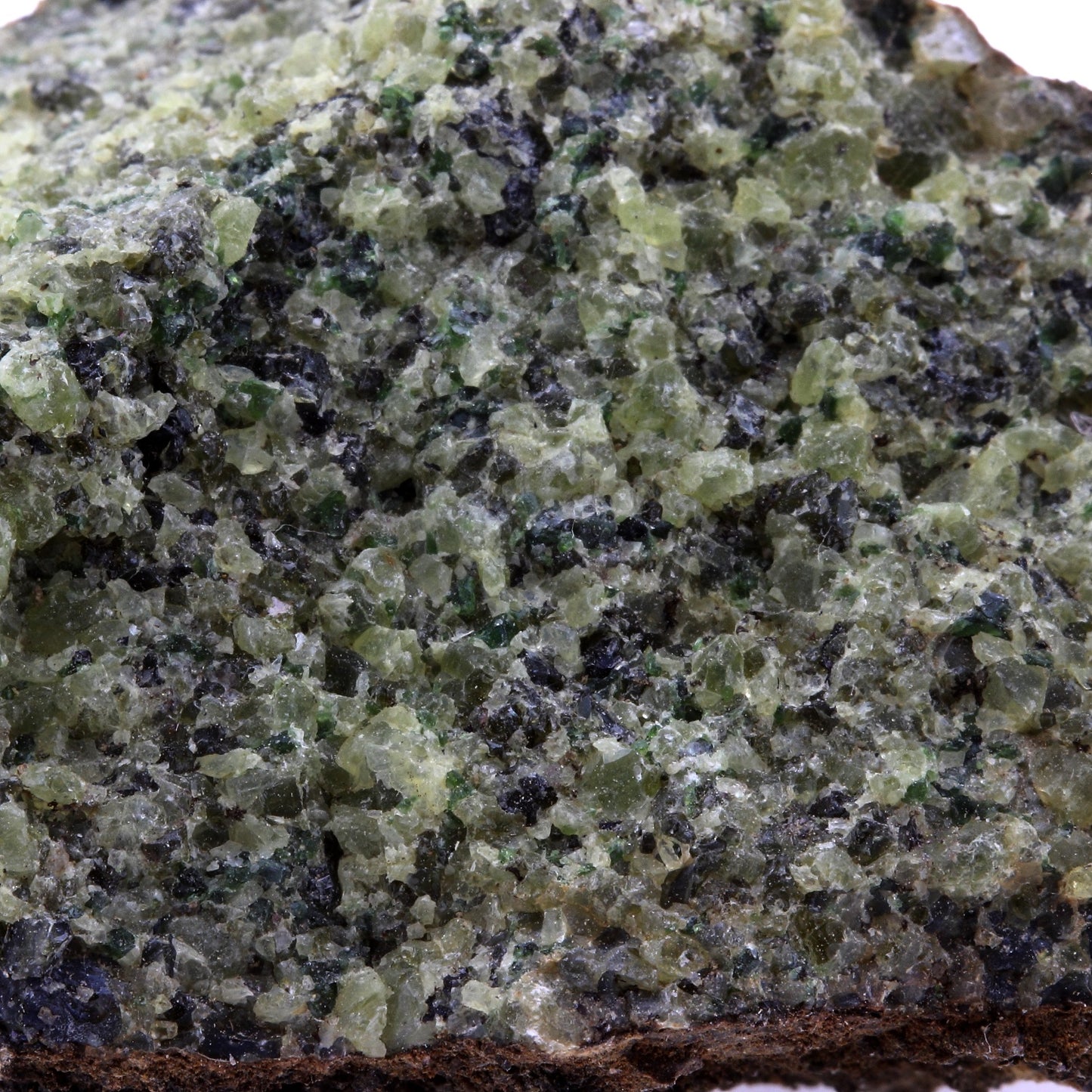 Péridotite, 650.3 carats, Mont Briançon, Haute-Loire, France