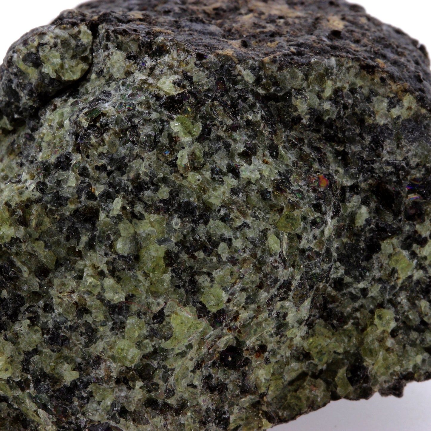 Péridotite, 604.6 carats, Mont Briançon, Haute-Loire, France