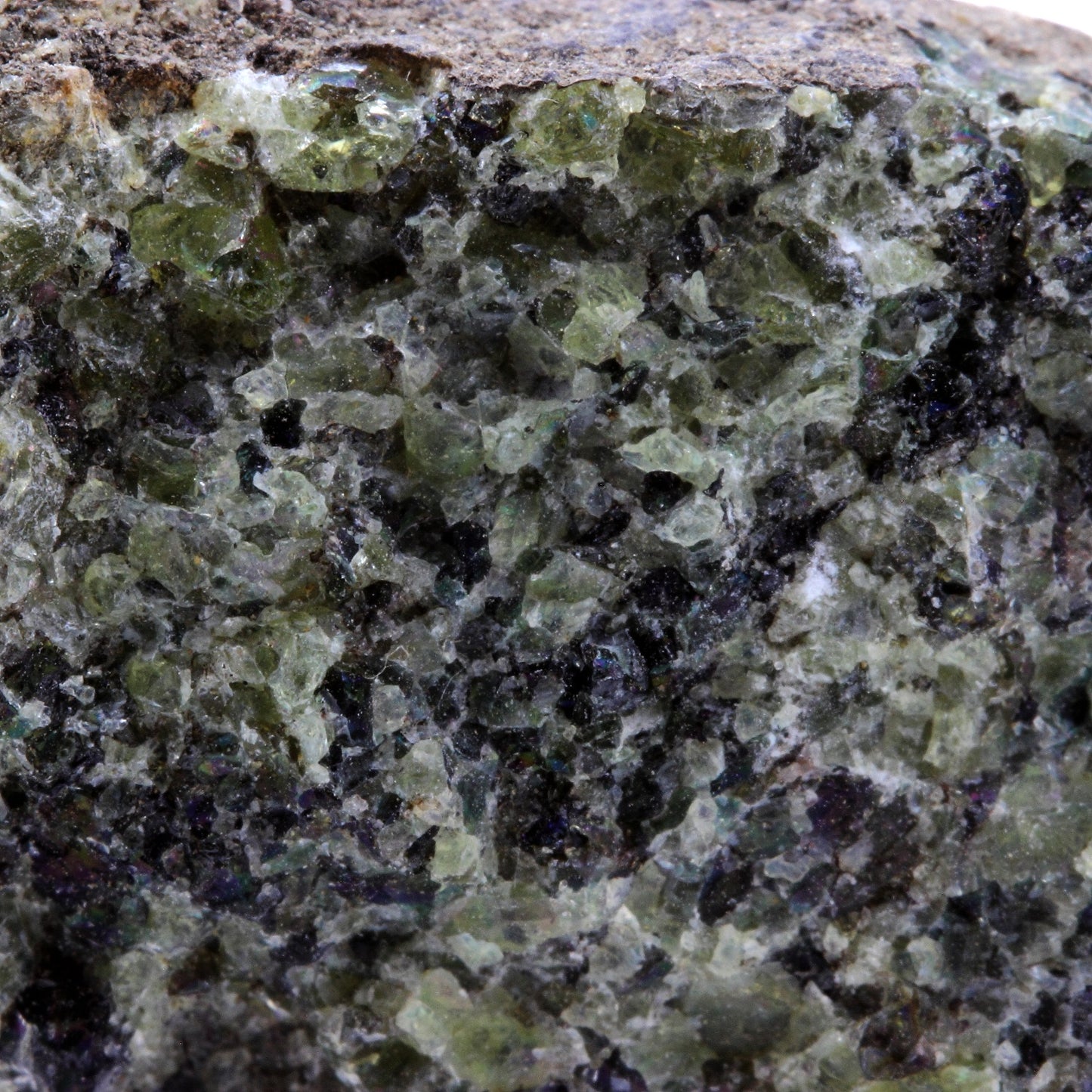 Péridotite, 255.9 carats, Mont Briançon, Haute-Loire, France