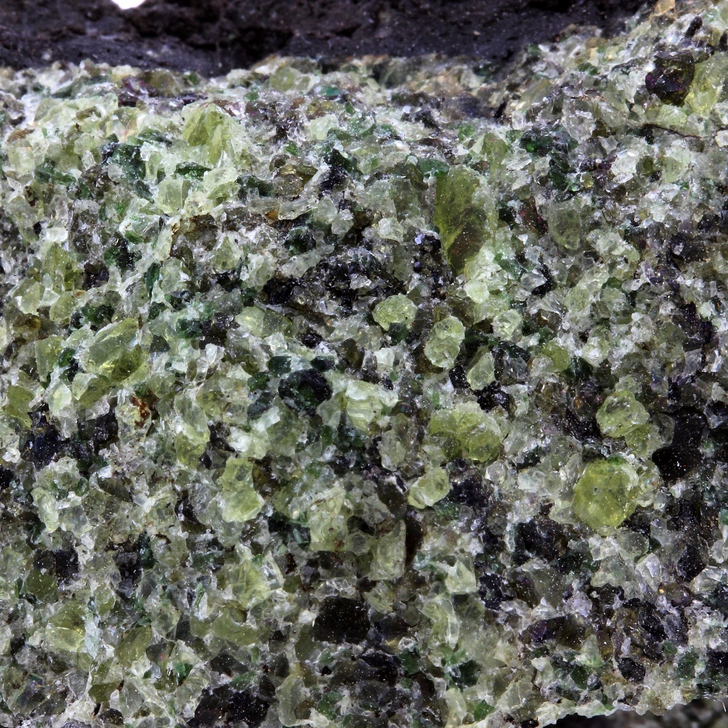 Péridotite, 708.3 carats, Mont Briançon, Haute-Loire, France