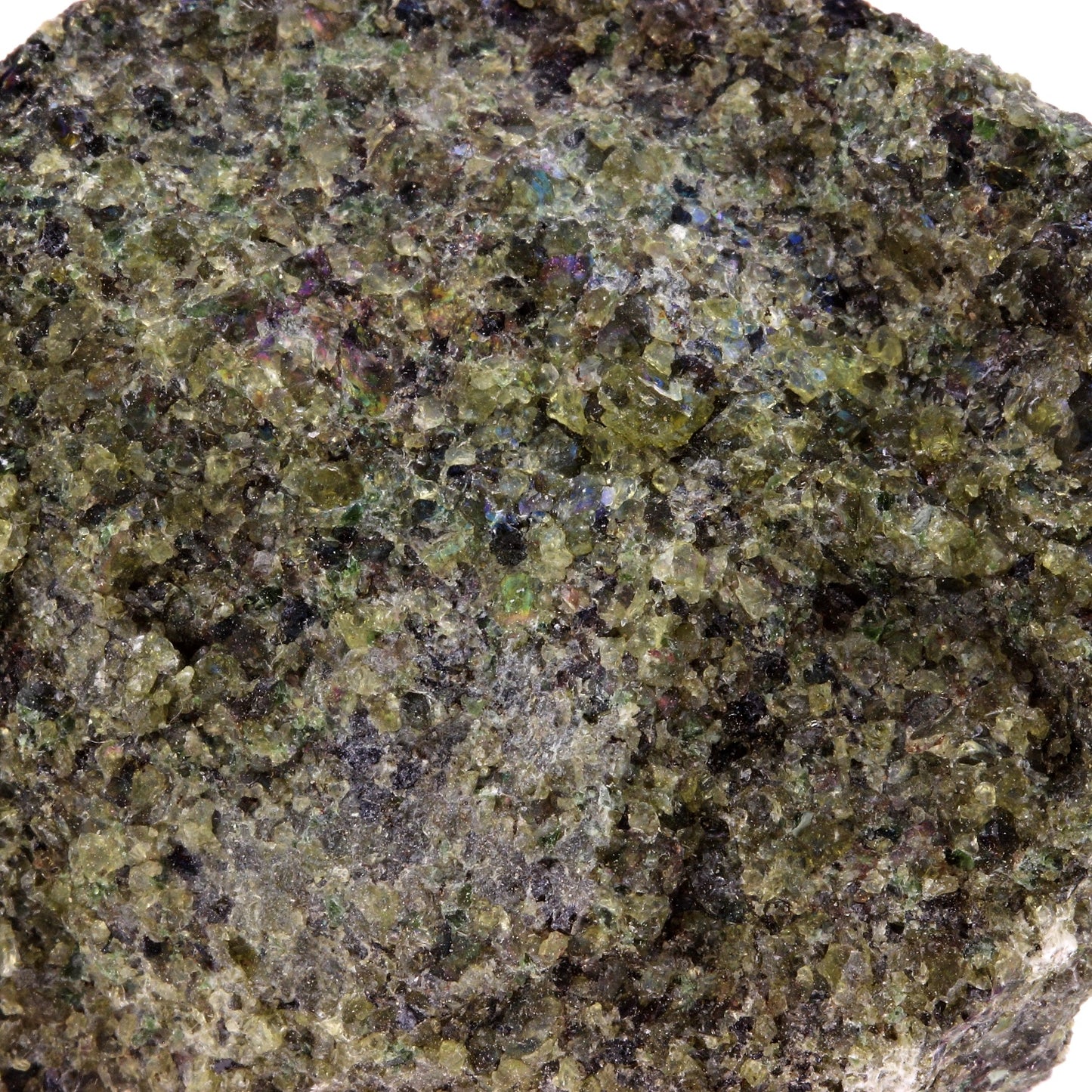 Péridotite, 834.6 carats, Mont Briançon, Haute-Loire, France