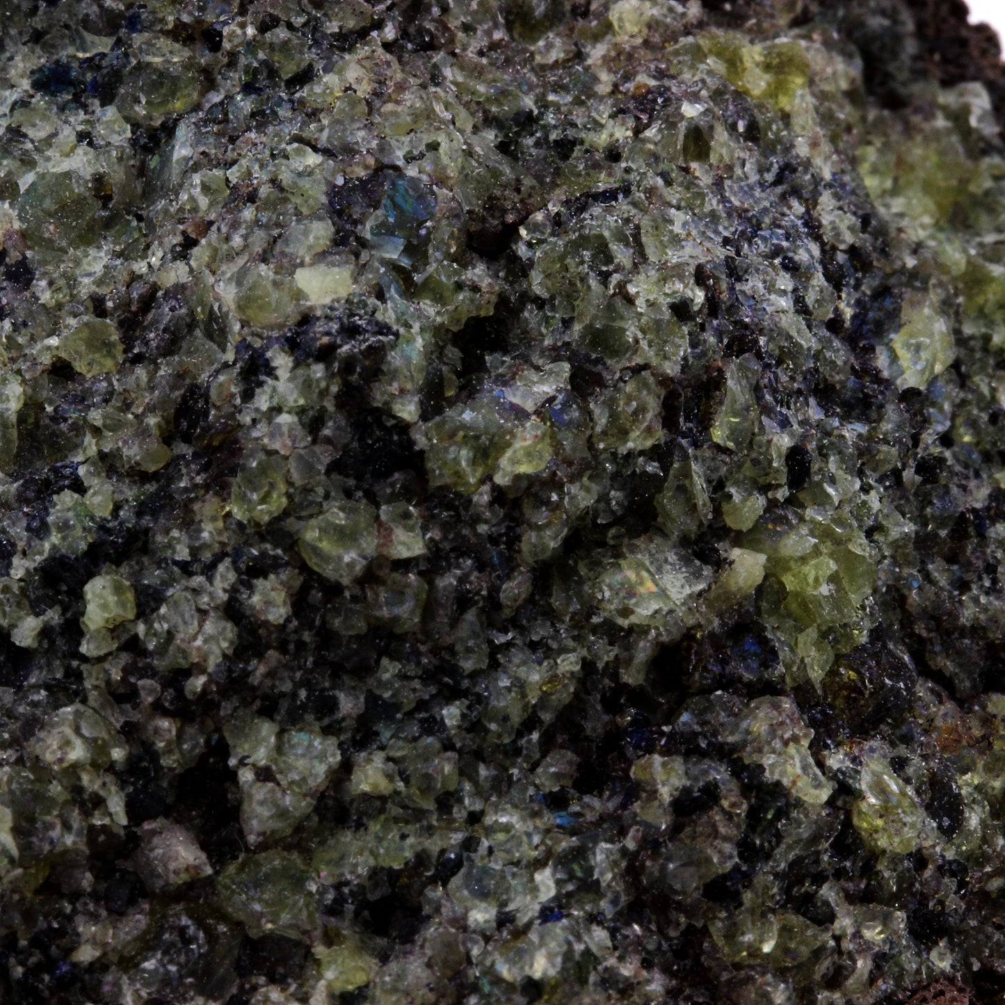 Péridotite, 767.7 carats, Mont Briançon, Haute-Loire, France