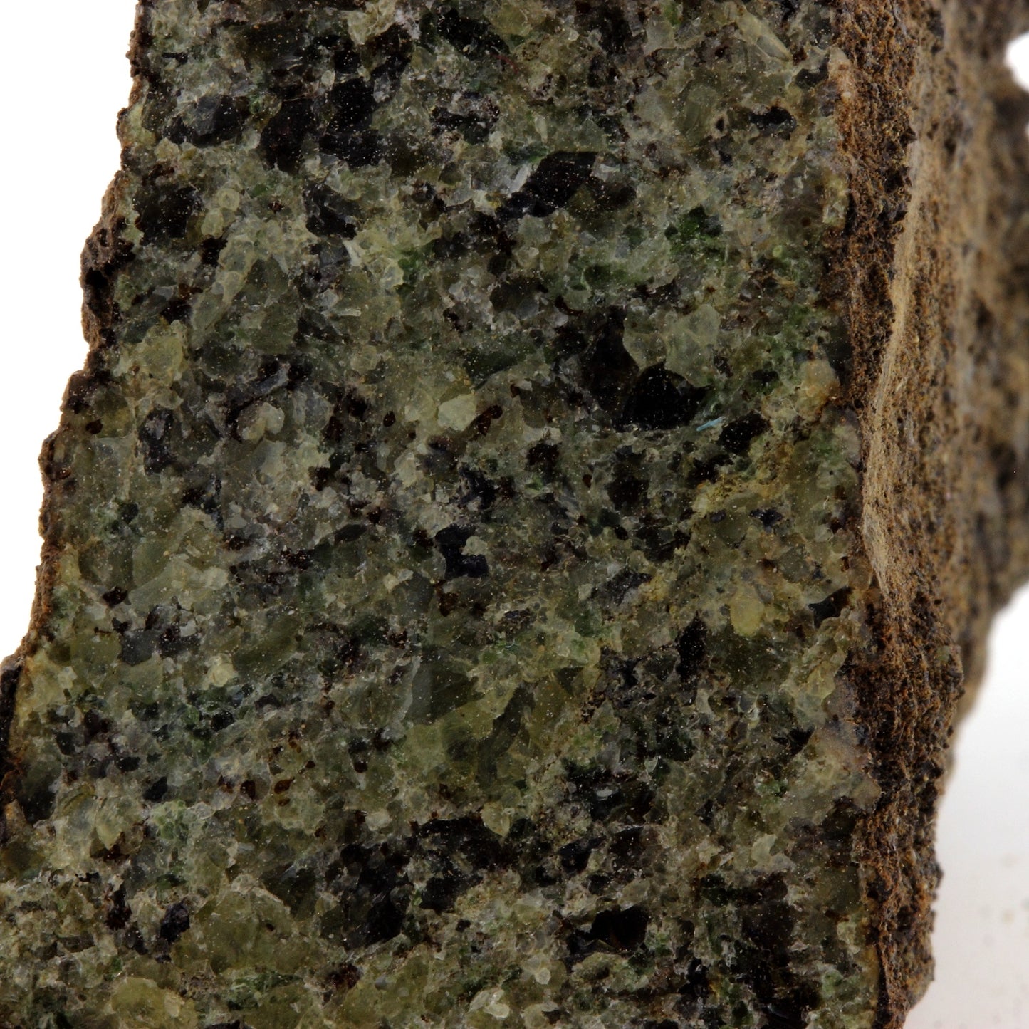 Péridotite, 406.1 carats, Mont Briançon, Haute-Loire, France