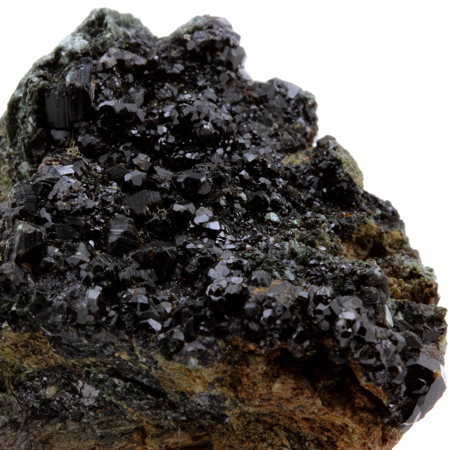 Andradite. 292.26 carats. Monte Rosso, Champoluc, Aosta Valley, Italie