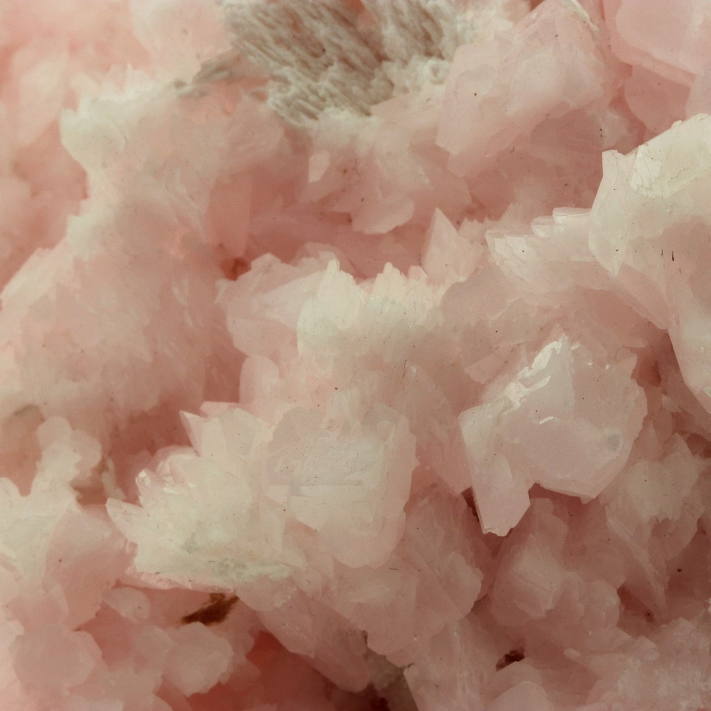 Manganoan Calcite. 2715.0 carats. En provenance de 2nd Sovetskii Mine, Dalnegorsk, Dalnegorsk Urban District, Primorsky Krai, Russie