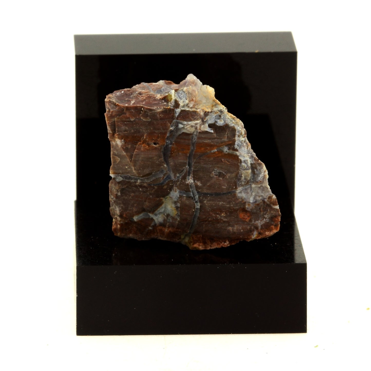 Jaspe. 41.27 carats. Oregon, USA
