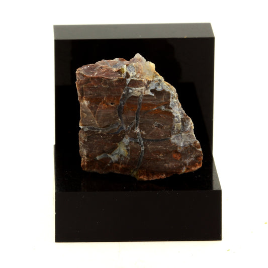 Jaspe. 41.27 carats. Oregon, USA