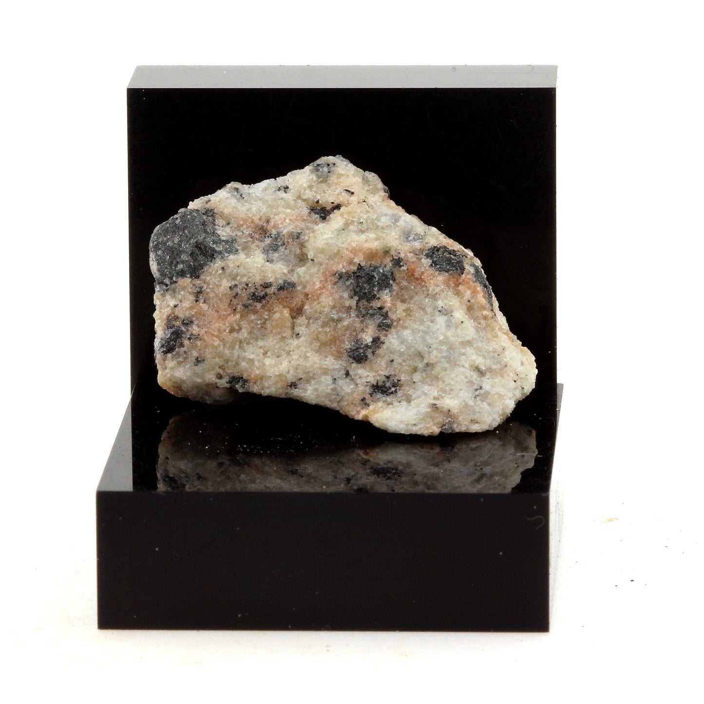 Lamprophyre. 30.82 carats. Grenville, Québec, Canada