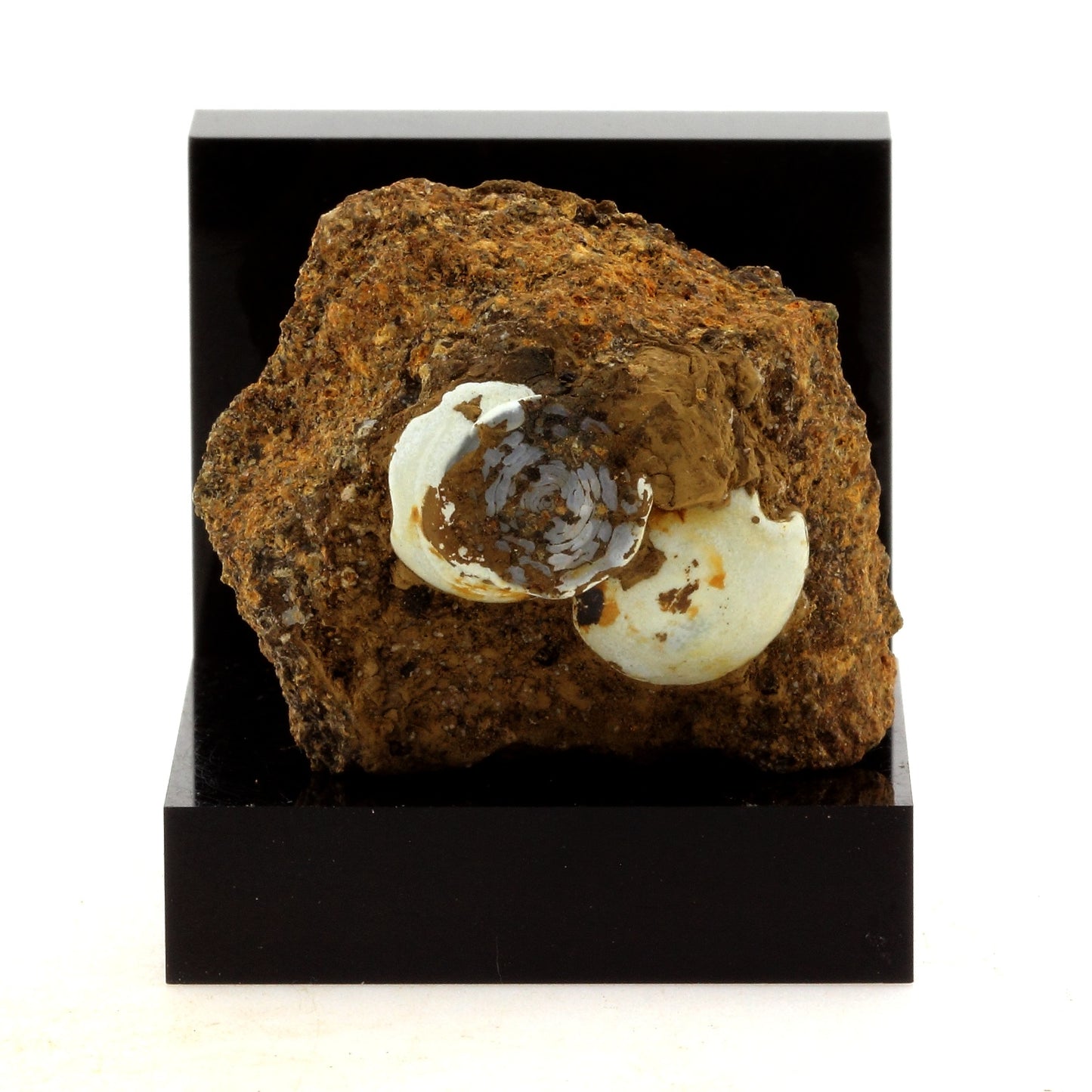 Lussatite. 82.7 carats. Dallet, Puy-de-Dôme, France