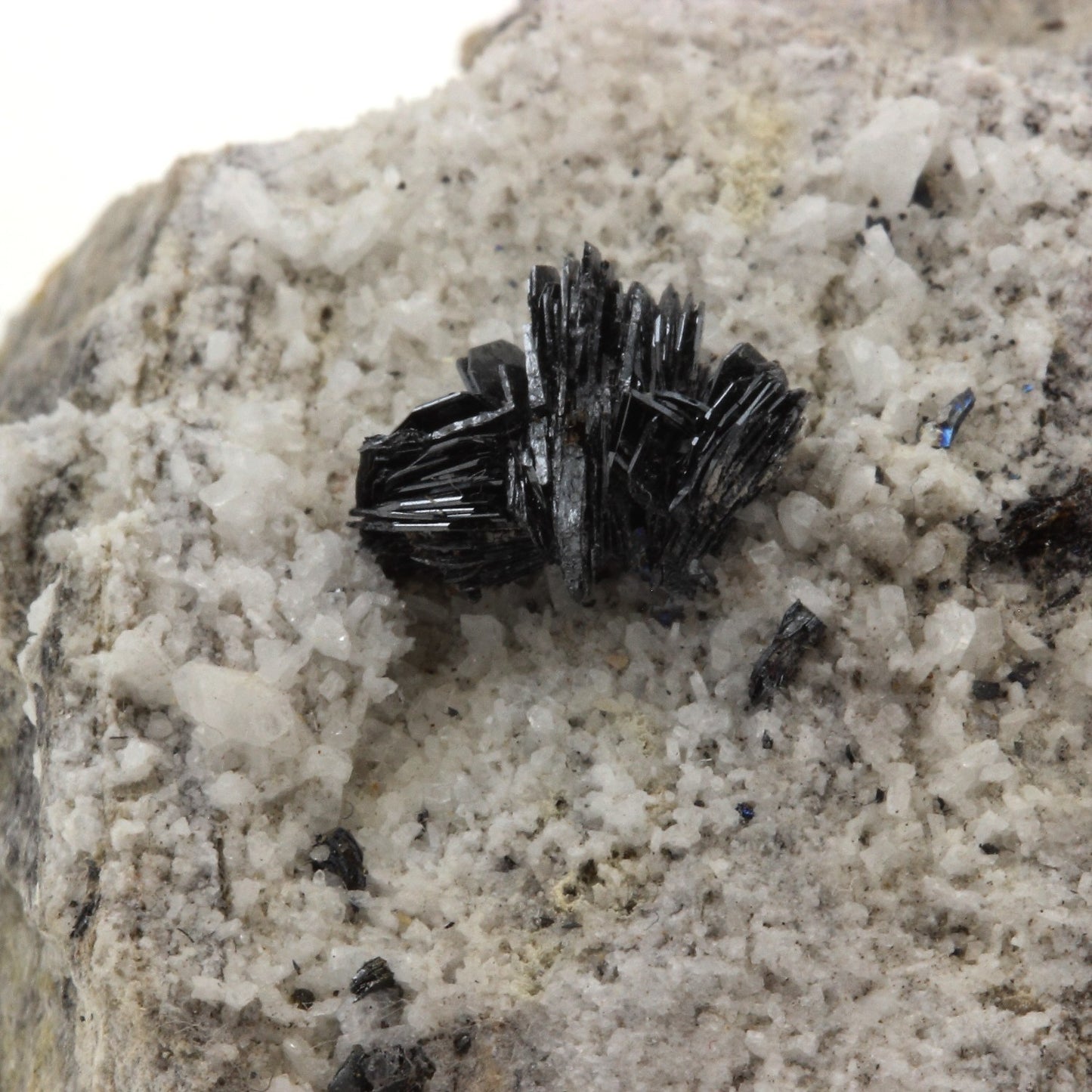 Hematite. 280.1 carats. Sarenne, Oisans, Isère, France