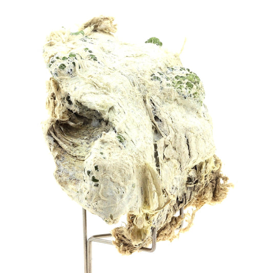 Grenat démantoïde. 1090.2 carats. Malenco Valley, Lombardy, Italie