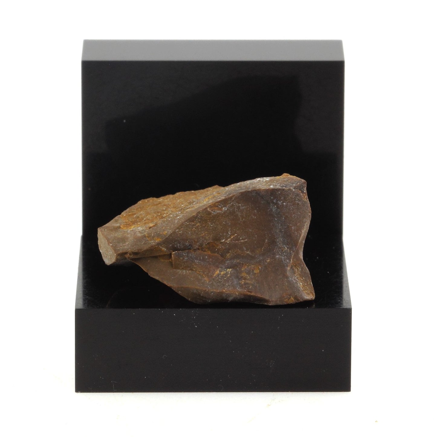 Jaspe. 20.5 carats. Oregon, USA