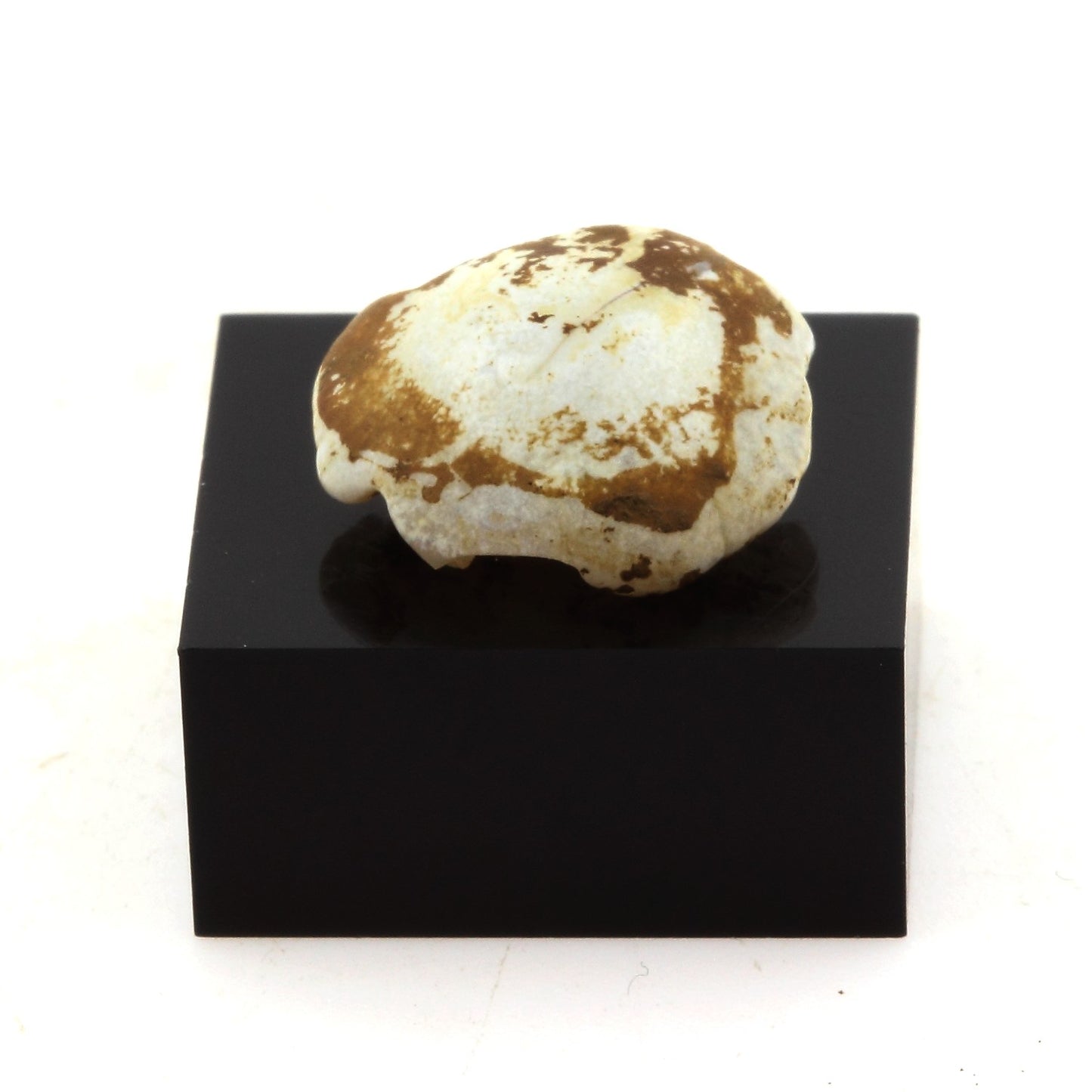 Lussatite. 15.26 carats. Dallet, Puy-de-Dôme, France