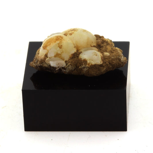 Lussatite. 19.26 carats. Dallet, Puy-de-Dôme, France