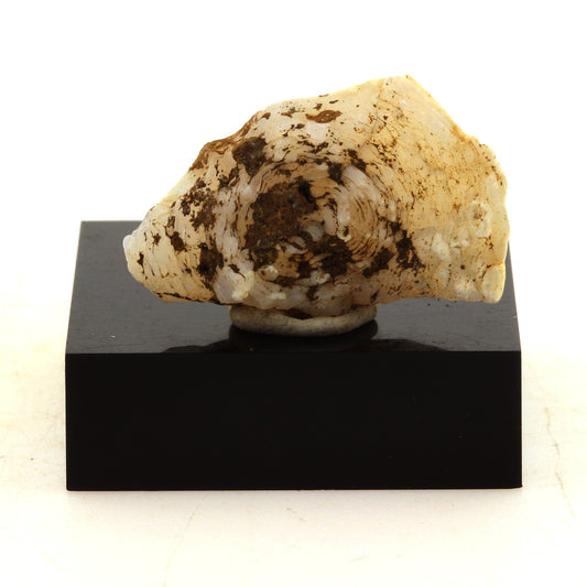 Lussatite. 39.94 carats. Dallet, Puy-de-Dôme, France