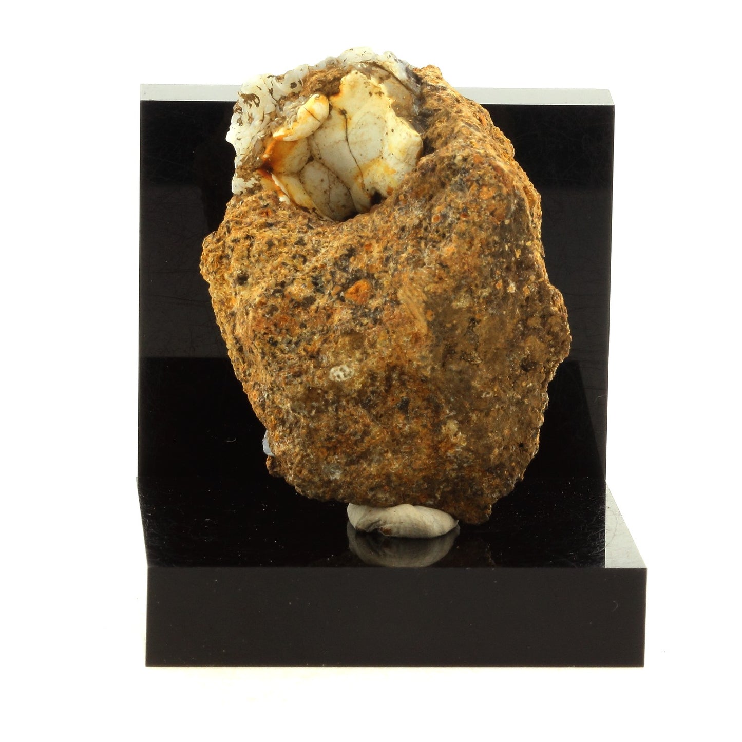 Lussatite. 142.8 carats. Dallet, Puy-de-Dôme, France
