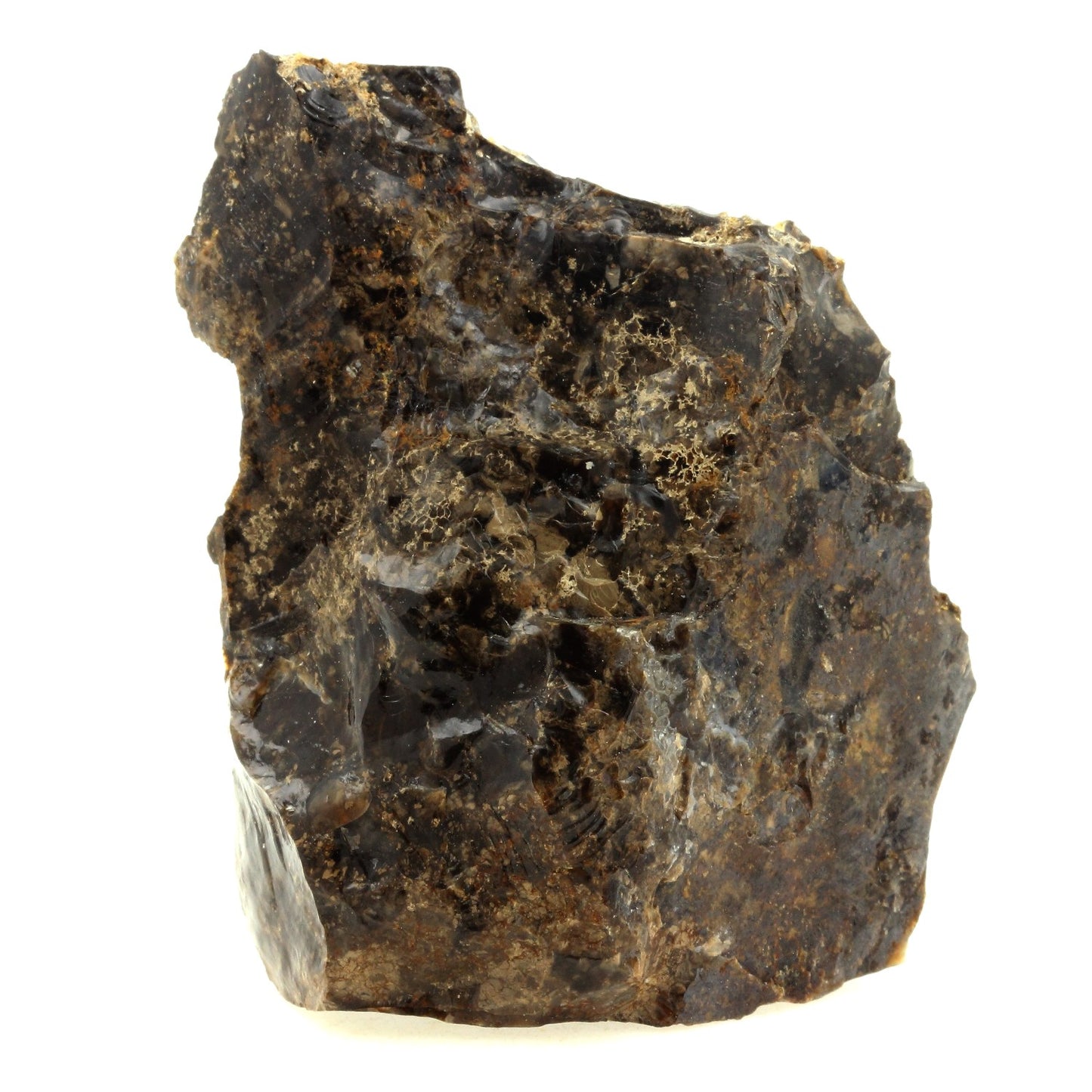 Opale résinite, 935.0 carats, Saint-Pierre-Eynac, Haute-Loire, France