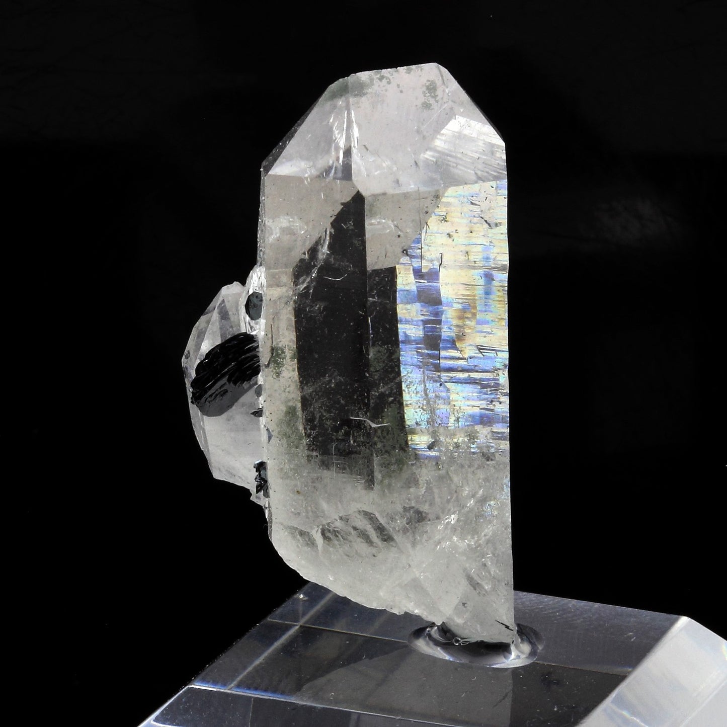 Quartz + Hematite. 156.6 carats. Sarenne, Oisans, Isère, France