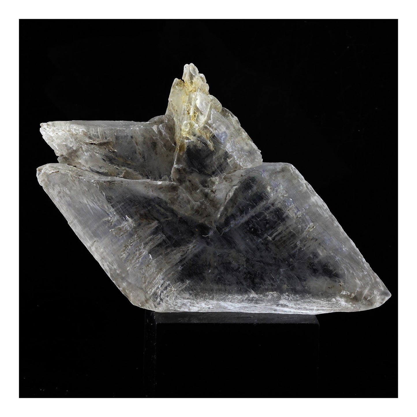 Gypse. 287.5 carats. Le Monestier-du-Percy, Isère, France