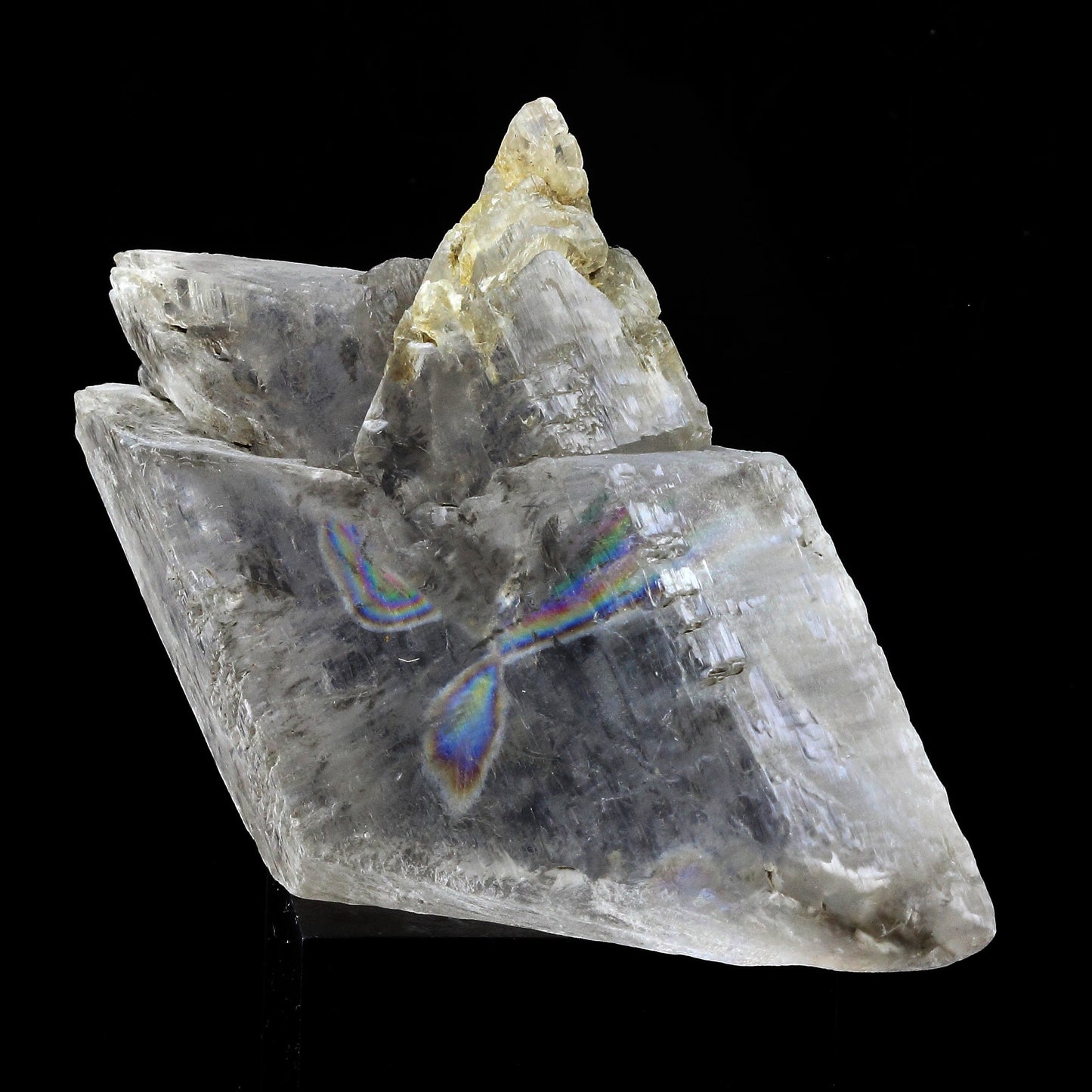 Gypse. 287.5 carats. Le Monestier-du-Percy, Isère, France