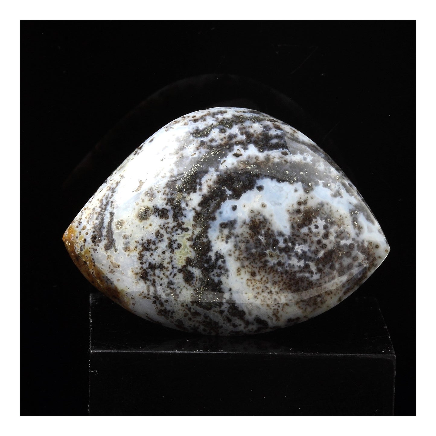Jaspe Paysage. 63.0 carats. Madagascar