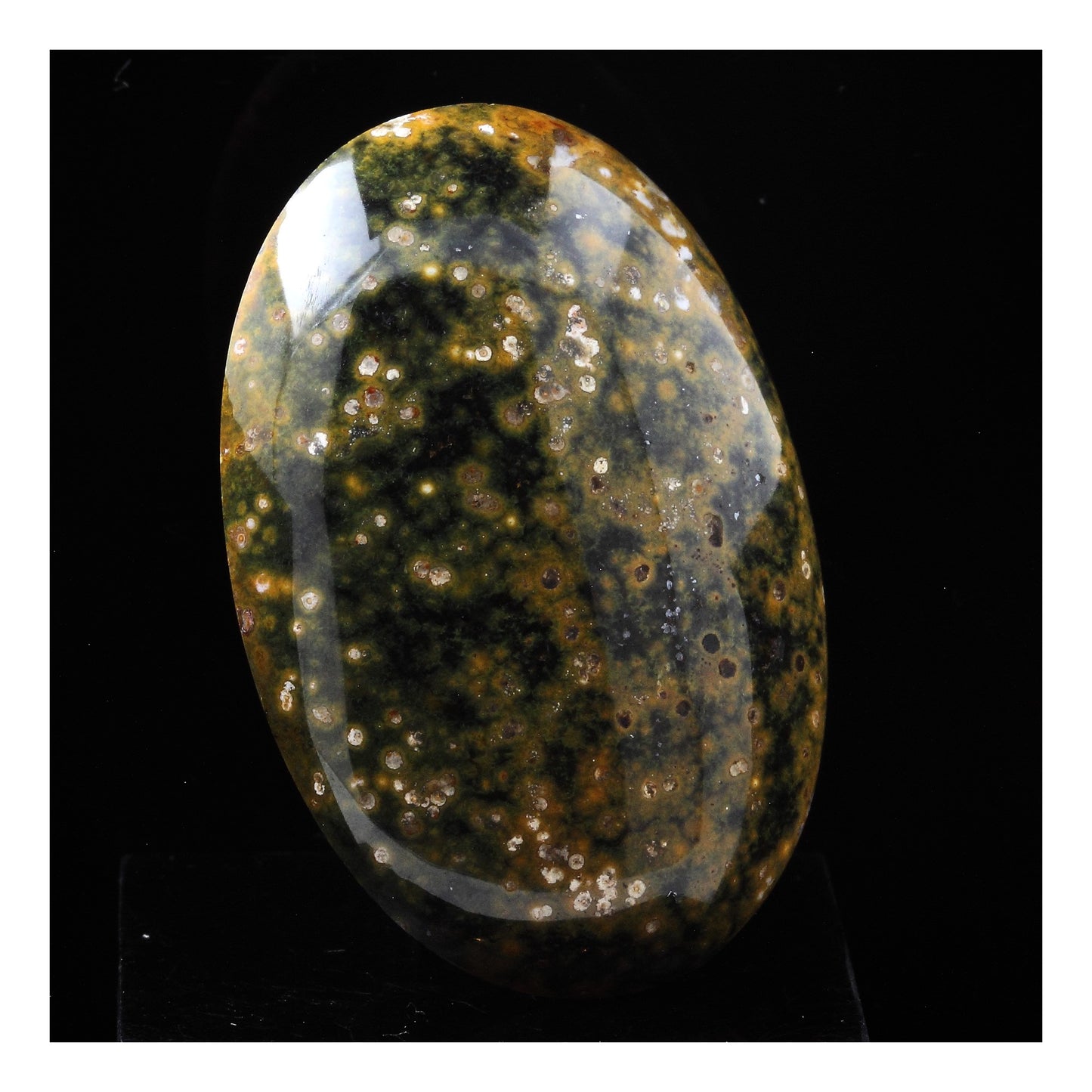 Jaspe Orbiculaire. 99.5 carats. Madagascar