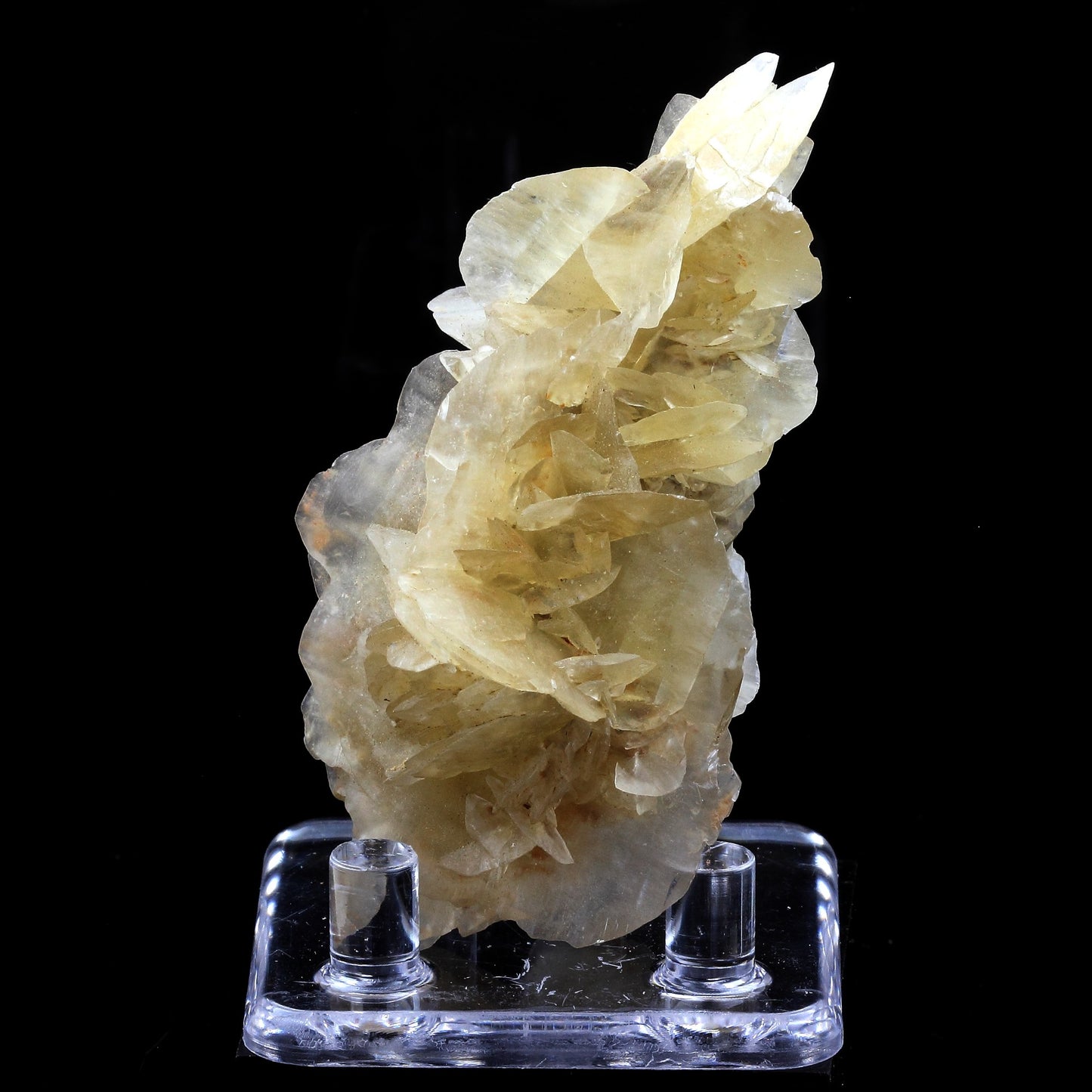 Gypse. 393.0 carats. Zaragoza, Aragón, Espagne