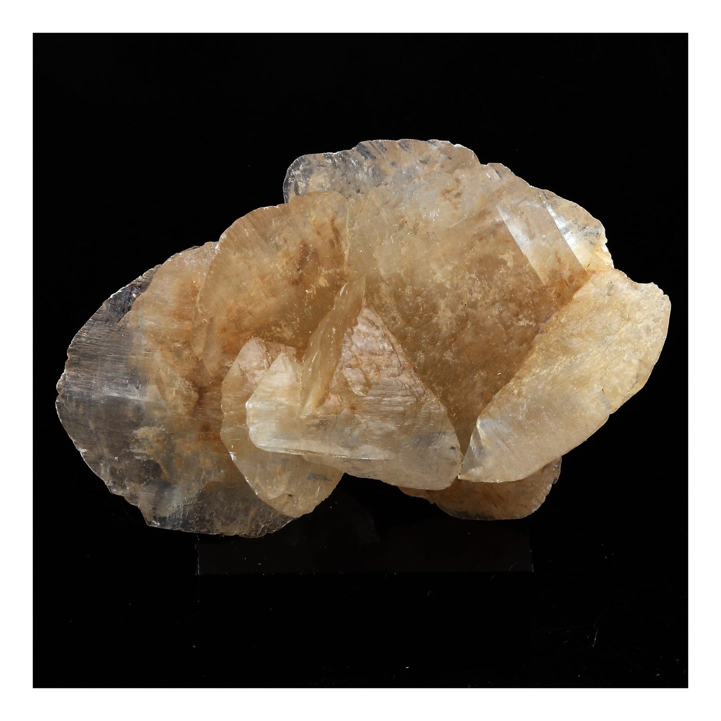 Gypse. 131.0 carats. Zaragoza, Aragón, Espagne