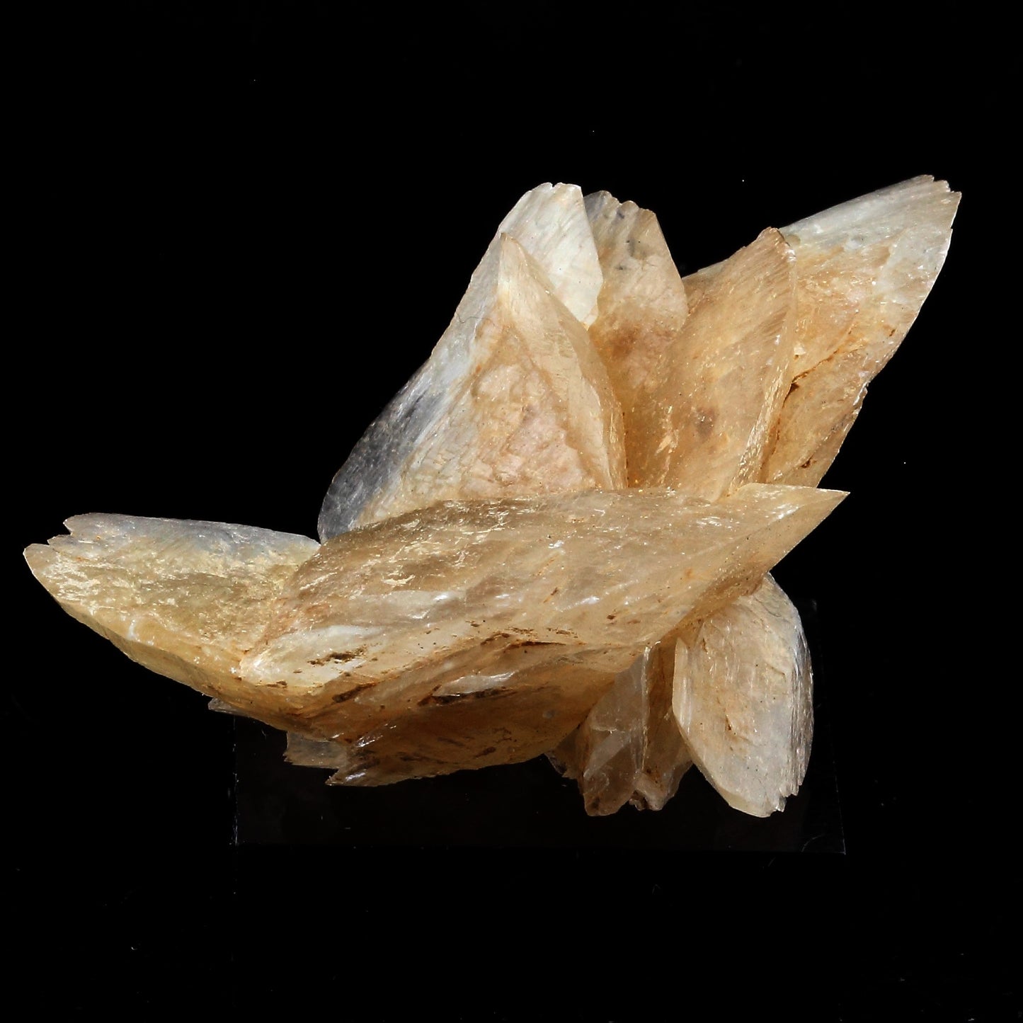 Gypse. 131.0 carats. Zaragoza, Aragón, Espagne