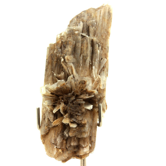 Gypse. 179.0 carats. Angervilliers, Essonne, France